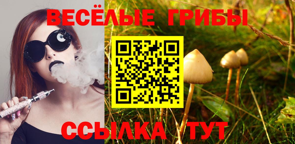 Нарткала  купить наркоту  Вход с VPN  Галлюциногенные грибы MAGIC MUSHROOMS 